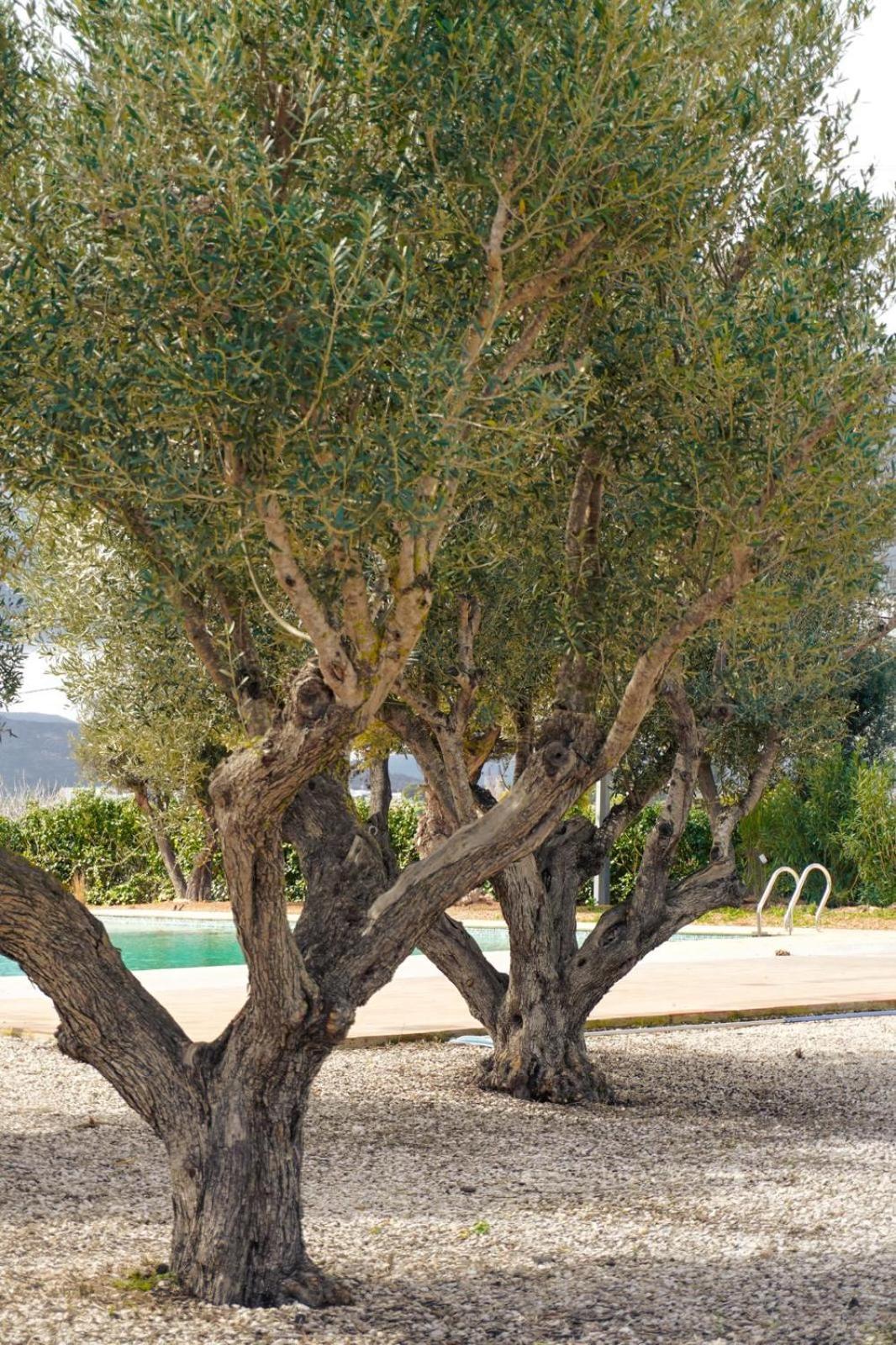 Hotel Finca Olivar Benissa Bagian luar foto